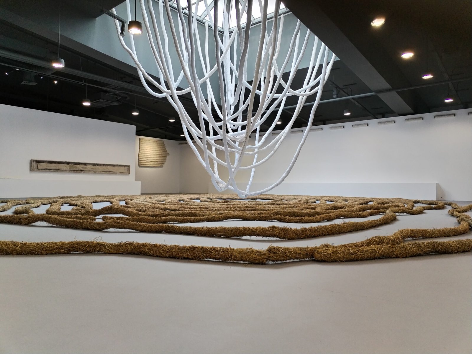 Installations Victoria Zidaru